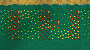 Standard farm.png