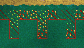 Barrier farm.png