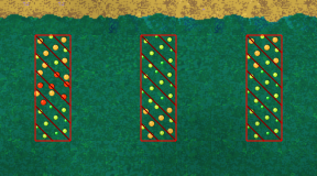 Empty farm.png